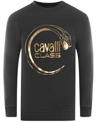 Class Roberto Cavalli - Piercing Snake Logo Sweatshirt - Lyst