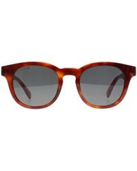 Lacoste - Round Blonde Havana Smoke L6006S - Lyst