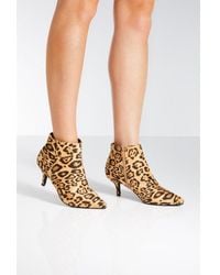 Quiz - Leopard Print Point Toe Kitten Heel Ankle Boots - Lyst