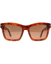 Serengeti - Square Shiny Classic Havana Mineral Polarized Drivers Winona - Lyst