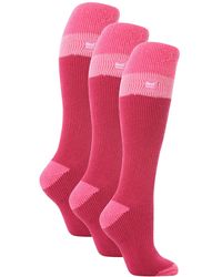 Heat Holders - 3 Pack Ladies Thermal Knee High Ski Socks - Lyst
