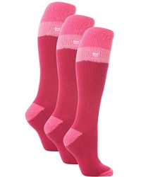 Heat Holders - 3 Pack Ladies Thermal Knee High Ski Socks - Lyst