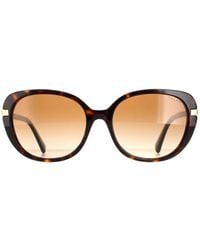 Ralph Lauren - By Butterfly Shiny Dark Havana Gradient Sunglasses - Lyst
