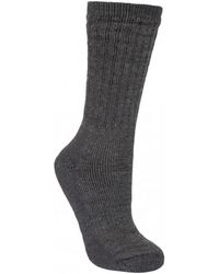 Trespass - Stroller Merino Wool Hiking Boot Socks (1 Pair) Marl) - Lyst