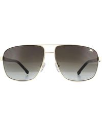 Lacoste - Aviator Gradient Sunglasses Metal - Lyst