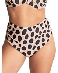 Panache - Amalfi High Waist Bikini Brief - Lyst