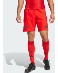 adidas Originals - Fc Bayern 24/25 Home Authentic Shorts - Lyst