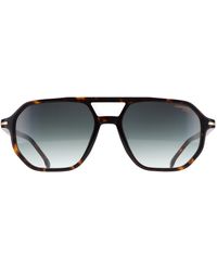 Carrera - Aviator Havana Gradient 341/S - Lyst
