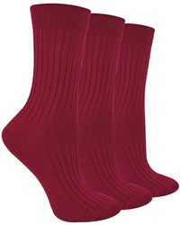 Steve Madden - Burgundy 3 Pairs Ladies Merino Wool Winter Thick Cushion Warm Boot Socks - Lyst