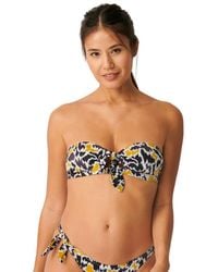 Sloggi - 10211215 Shore Fancy Guppy Bandeau Bikini Top - Lyst
