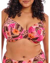 Elomi - Cabana Nights Plunge Bikini Top - Lyst