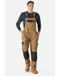 Dickies
