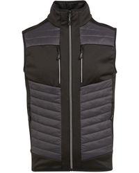 Regatta - Adult E-Volve Thermal Hybrid Body Warmer (Ash/ - Lyst