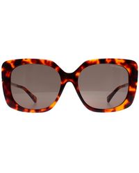 Ted Baker - Square Tortoise Tb1732 Heather - Lyst