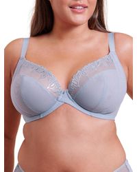 Curvy Kate - Flare Plunge Bra - Lyst