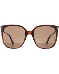 Polaroid - Square Havana Bronze Polarized Pld 6218/S - Lyst