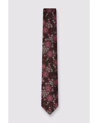 Antique Rogue - Floral Tie - Lyst