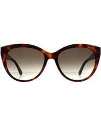 Calvin Klein - Cat Eye Havana Gradient Ck22520S - Lyst