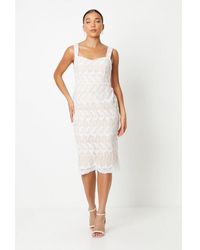 Coast - Petite Lace Pencil Midi Dress - Lyst