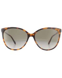 Jimmy Choo - Sunglasses Lissa/S 0T4 Ha Havana Gradient - Lyst