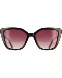 Polaroid - Cat Eye Havana Burgundy Gradient Polarized Pld 4189/S - Lyst