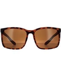 Dragon - Square Matte Tortoise Bronze Sonnenbrille - Lyst