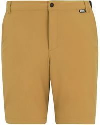 Regatta - Professional Light Insect Repellent Travel Shorts (Wood) - Lyst