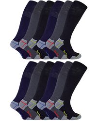 Sock Snob - 12 Pairs Knee High Cotton Rich Ultimate Work Socks - Lyst