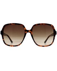 Guess - Gf6203 52p Donker Havana Bruin Gradiënt Zonnebril - Lyst