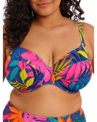 Elomi - Porto Rafti Plunge Bikini Top - Lyst