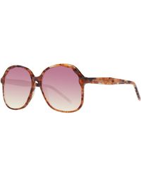 Scotch & Soda - Brown Sunglasses - Lyst