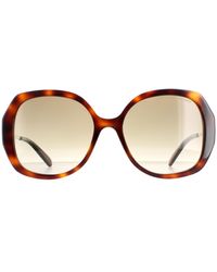 Marc Jacobs - Butterfly Havana Gradient 581/S - Lyst