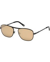 WEB EYEWEAR - We0199-02G We0199 55 02G Sunglasses - Lyst