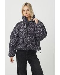 Brave Soul - Leopard Print Short Puffer Jacket - Lyst