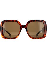 Polaroid - Square Dark Havana Bronze Polarized Sunglasses - Lyst
