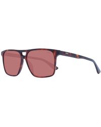BMW - Brown Acetate Sunglasses - Lyst