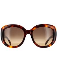 Ferragamo - Oval Tortoise Gradient Sunglasses - Lyst