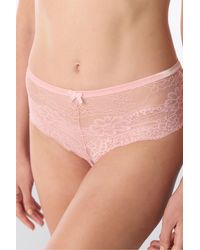 Penti - Cheeky Lace Hipster Briefs - Lyst