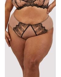Playful Promises - Curve Exclusive Clara Latte And Lace High Waisted Brief - Lyst