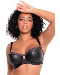 Curvy Kate - Key To My Heart Padded Half Cup Bra - Lyst