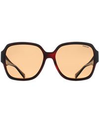 Polaroid - Square Havana Bronze Polarized Pld 9021/S - Lyst