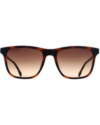Lacoste - Rectangle Havana Gradient L6041S - Lyst
