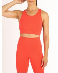 Luke 1977 - Spin Sports Bra - Lyst