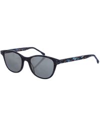 Zen - Z473 Square Shaped Acetate Sunglasses - Lyst