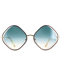 Chloé - Chloé Square Havana And Gradient Ce159S Poppy Sunglasses Metal - Lyst