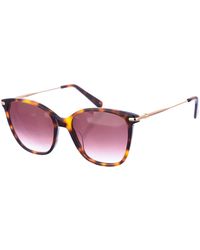 Longchamp - Lo660S Butterfly Shaped Acetate Sunglasses - Lyst