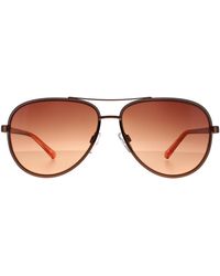 Ted Baker - Aviator Copper Gradient Tb1644 Sunnia Metal - Lyst