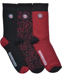 Lambretta - Paisley Socks (Pack Of 3) /Wine) - Lyst