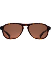 Bottega Veneta - Aviator Havana Bv1292S - Lyst
