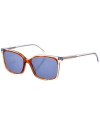 Zen - Z492 Square Shaped Acetate Sunglasses - Lyst